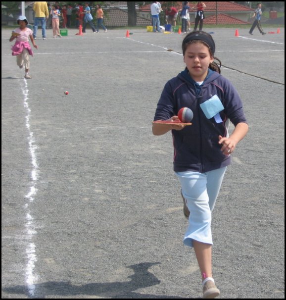 Field 007.jpg